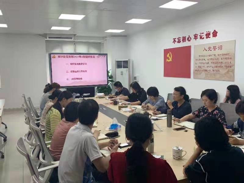 审计处党支部开展4月组织生活